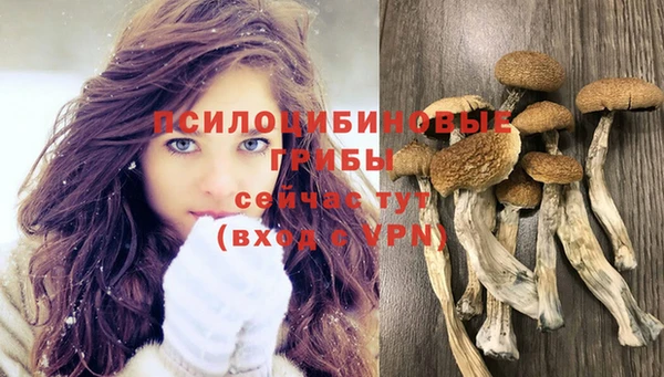 MDMA Бородино